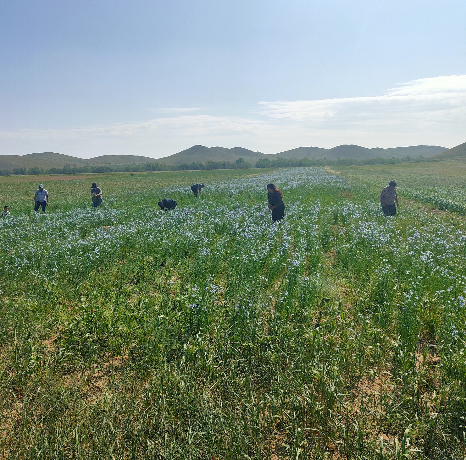 必赢76net线路(亚洲)唯一官方网站