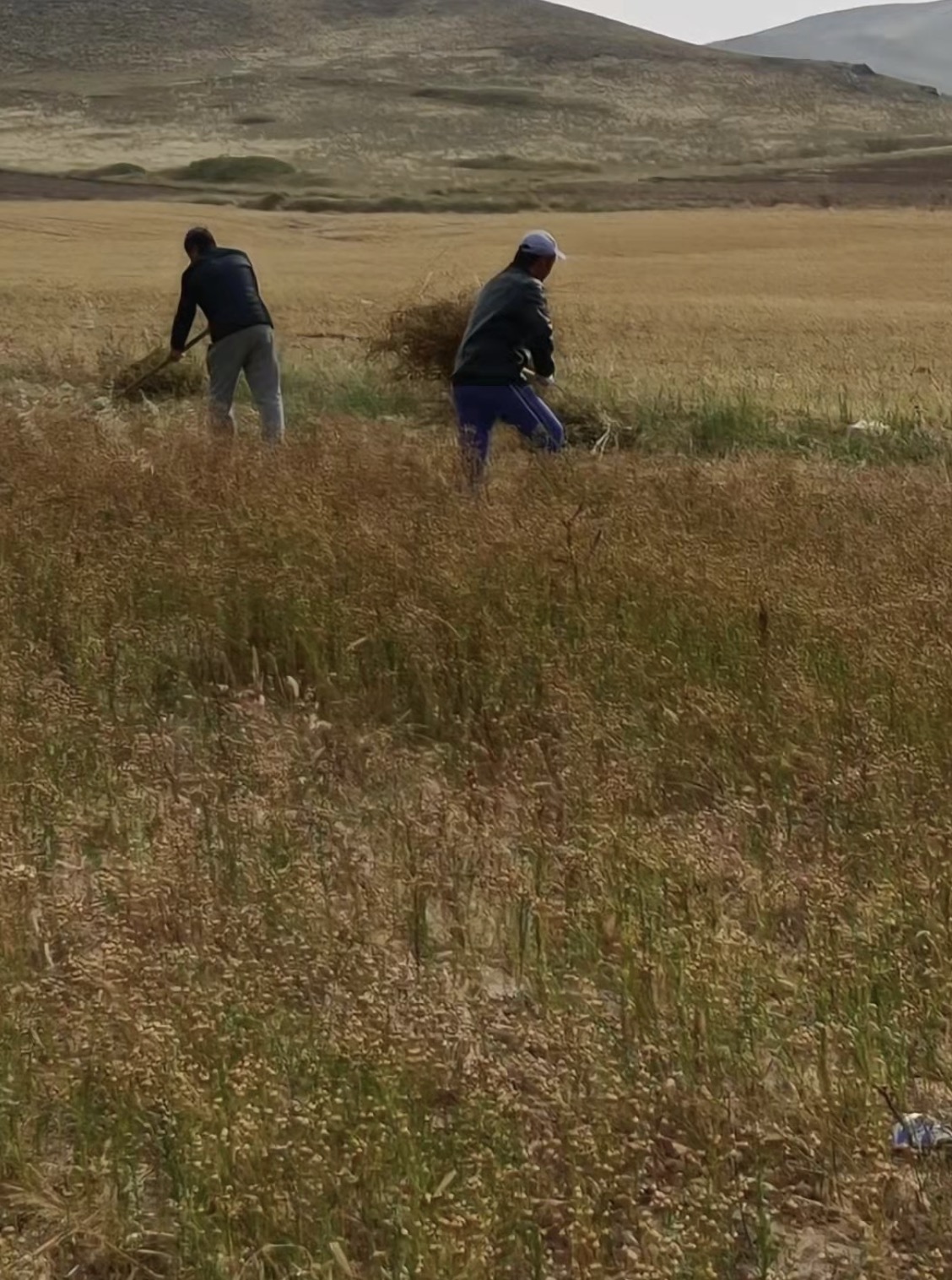 必赢76net线路(亚洲)唯一官方网站